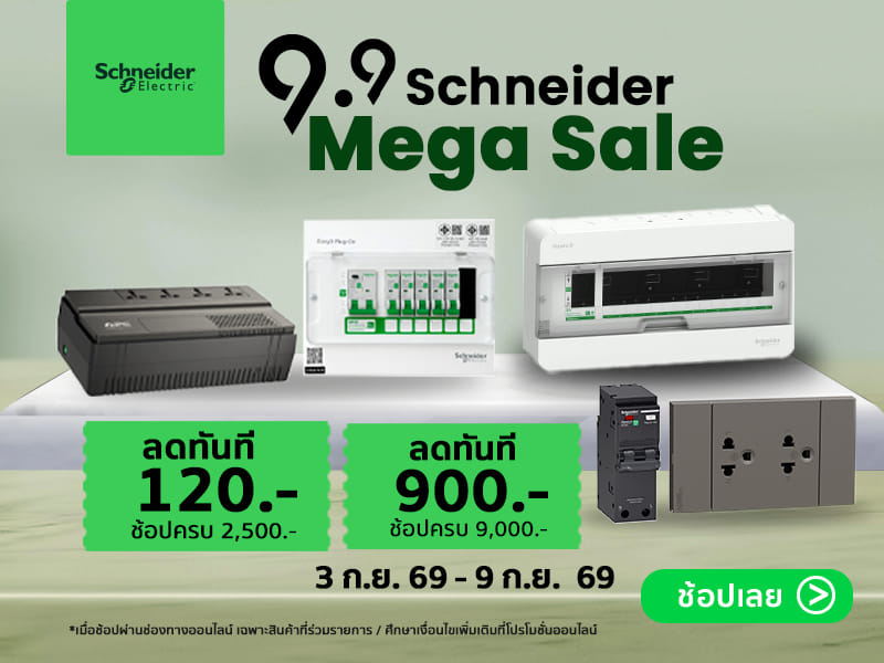 Schnider DD9.9